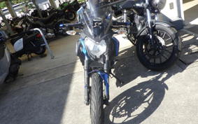 KAWASAKI Z250 SL BR250E