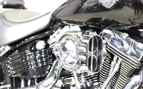 HARLEY FXCWC 2008 JK5