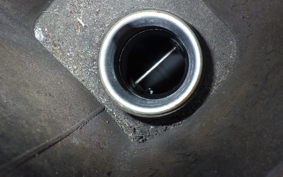 YAMAHA MAXAM 250 SG21J