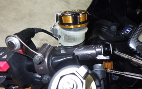 HONDA CBR1000RR 2008 SC57