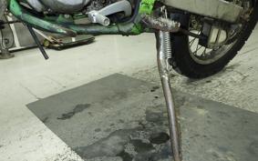 KAWASAKI KDX220SR 1994 DX220B