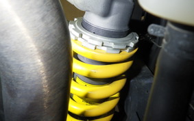 TRIUMPH DAYTONA 675 SE 2013