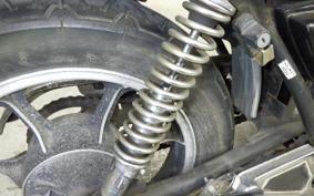 KAWASAKI Z250 Limited 2022 KZ250H