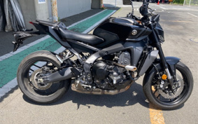 YAMAHA MT-09 ABS 2024 RN87J