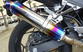 KAWASAKI NINJA 250 EX250L