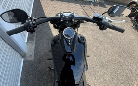 HARLEY FXFBS 2025 YLK