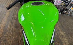KAWASAKI NINJA ZX-4RR KRT ED 2025