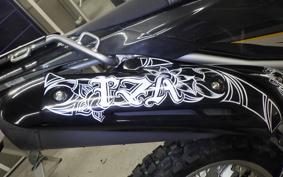 YAMAHA WR250R DG15J