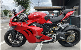 DUCATI PANIGA-REV4 2020 DA00J