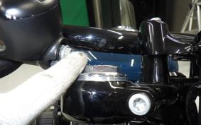 HARLEY XL1200X 2021