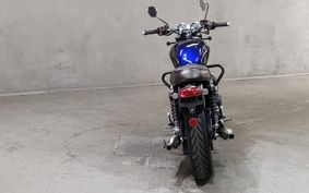 TRIUMPH BONNEVILLE T100 2024 DAD70G