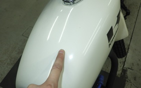 KAWASAKI 250TR 2022 BJ250F