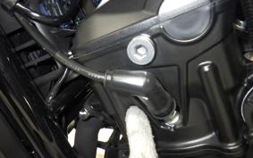 HONDA REBEL 1100 2024 SC83