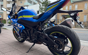 SUZUKI GSX-R1000R ABS 2019 DM11G