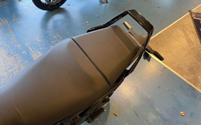 OTHER Svartpilen250 2024