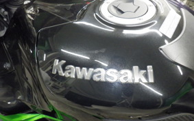 KAWASAKI ZX 1400 NINJA R A 2014