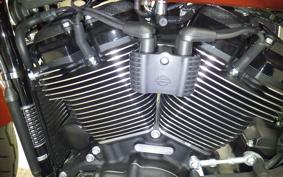 HARLEY FXLRST1920 2024