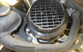 HONDA ZOOK AF26