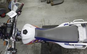 YAMAHA TT250R RAID 4GY