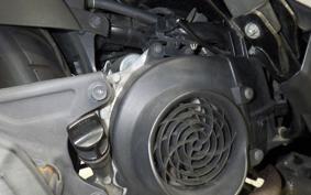HONDA ZOOMER-X 2024 JF52