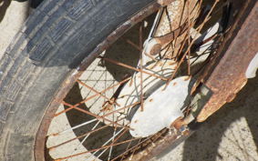 SUZUKI CELL PET 50 M30