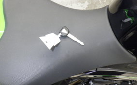 KAWASAKI NINJA 400 2019 EX400G