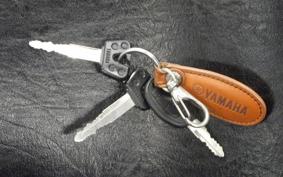 YAMAHA XV1600A ROADSTAR 1999 VP12J