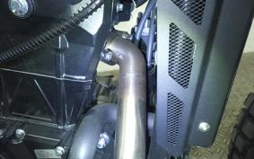 OTHER +MUTT DRK-01 250 1999