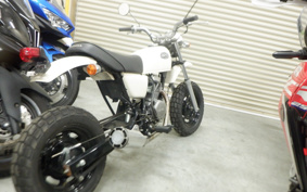 HONDA APE 50 AC16
