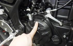 YAMAHA MT-25 A RG43J