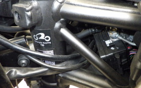 KAWASAKI ZX-4RR 2024 ZX400P