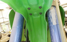 KAWASAKI KDX250SR DX250F