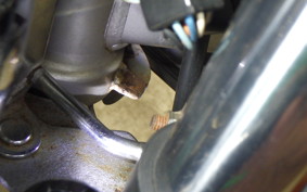 HONDA MAGNA 250 MC29