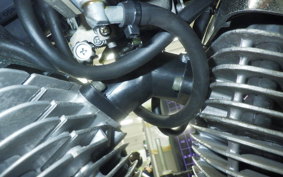 YAMAHA VIRAGO 250 2024 3DM