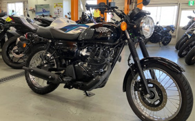 KAWASAKI W175 BJHD1B
