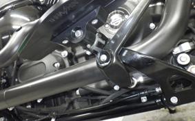 HARLEY FXLRS1870 2020