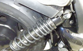 KAWASAKI ELIMINATOR 250 V 2019 VN250A