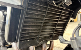 HONDA CB400 SUPER  BOL DOR ABS 2021 NC42