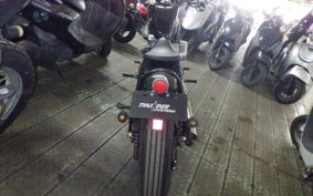 OTHER UNREGISTERED MODEL by BDS250 2024