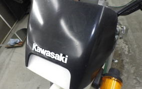 KAWASAKI SUPER SHERPA 2011 KL250G