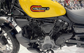 HARLEY RH975S NIGHT STAR 2023 ZF1