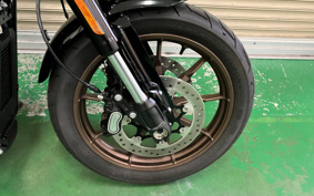 HARLEY FXLRS 2024 YMZ