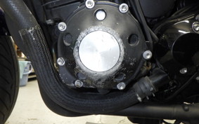 KAWASAKI ZRX1200 D 2009 ZRT20D