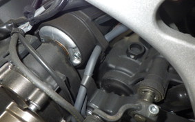 YAMAHA XSR900 GP 2024 RN96J