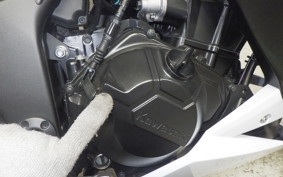 KAWASAKI Z250