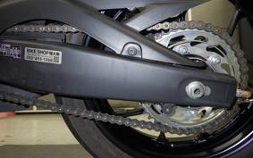 YAMAHA YZF R-3 2025 RH21J