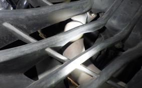 SUZUKI ｼﾞｸｻｰ250SF ED22B