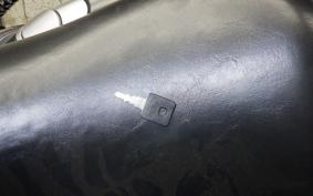 HARLEY XL883N 2010