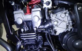 HONDA HORNET 250 2000 MC31