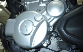 YAMAHA WR250X 2024 DG15J